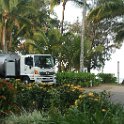 Palm Cove Cover